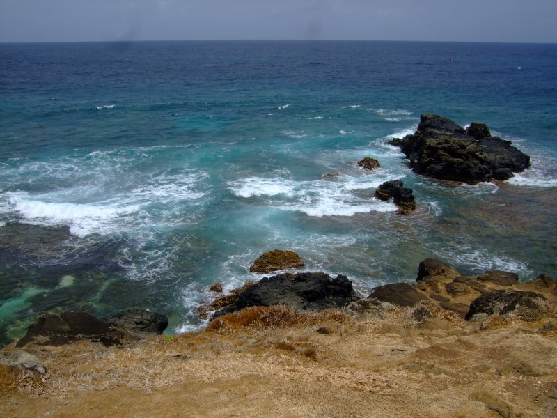 Mauritius 2010 - 0306 